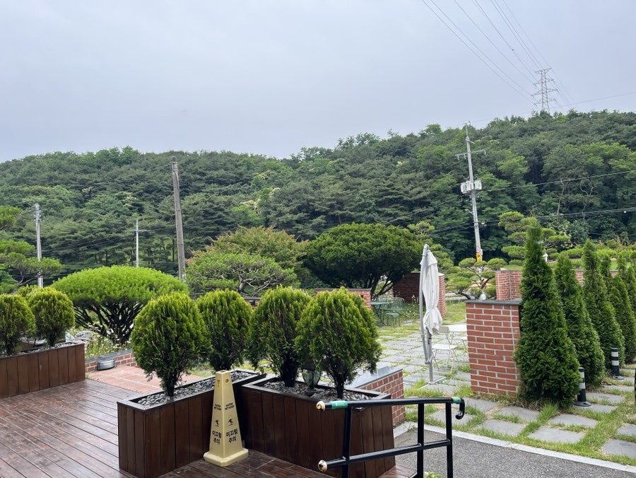 아디스브라운카페 사진 3