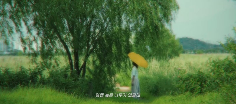 [가사 읽기&해석] 최유리 - 숲: 사람들 사이에서 나는 고작 키 작은 나무에 불과했다