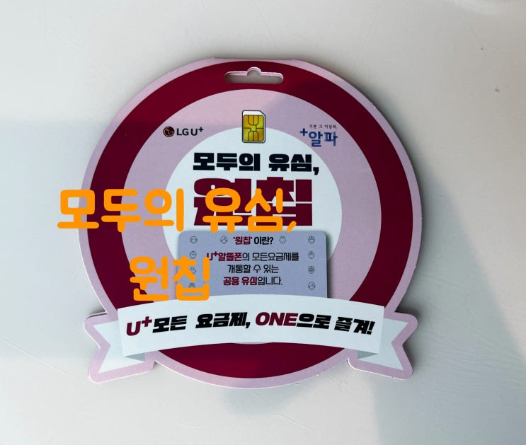  아이폰 유심 교체, 이마트 24편의점에서 구매한 모두의 원칩유심 가격 그리고 재개통까지!(LG 유플러스 알뜰요금제 유심 인식 오류)