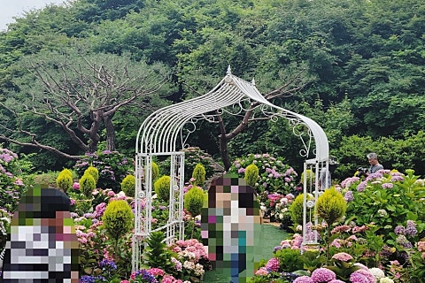 태양꽃식물원 이미지