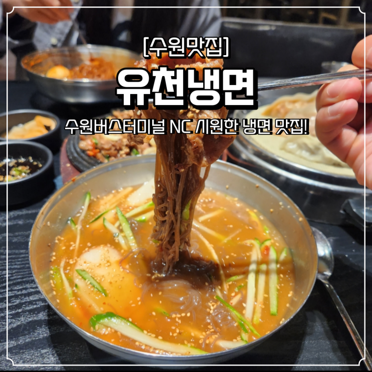  수원 NC백화점 점심 맛집 유천냉면