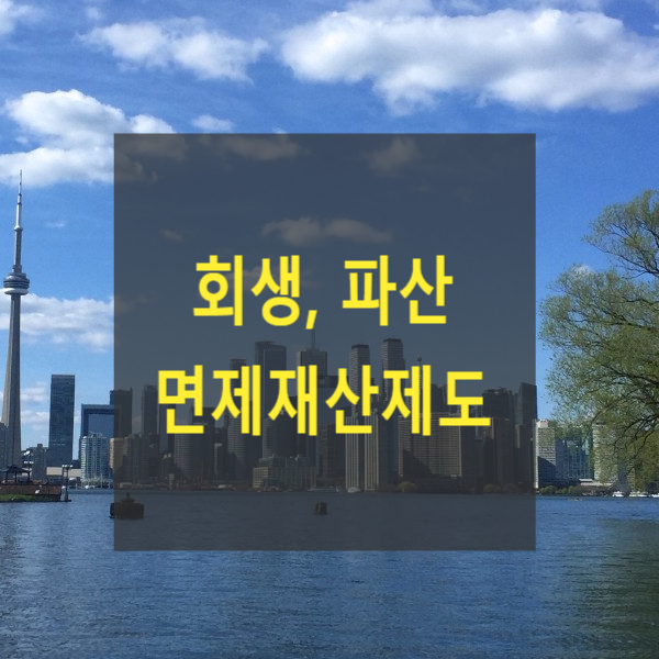  회생, 파산 면제재산제도