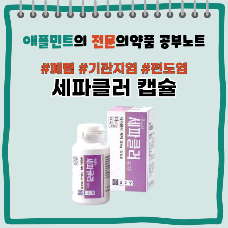 중이염 폐렴 인후두염 편도염 기관지염 방광염 모낭염 치료 세파클러 세파클러캡슐 그람양....