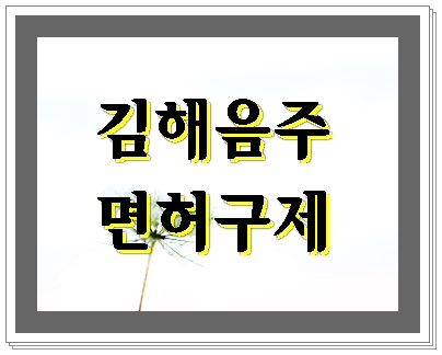  김해 음주운전 면허취소 기간 벌금 구제