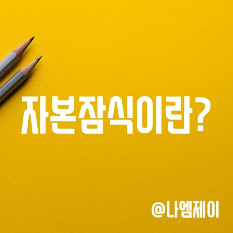 자본잠식 뜻과 자본잠식률 계산방법 자본잠식 뜻과 자본잠식률 계산방법
