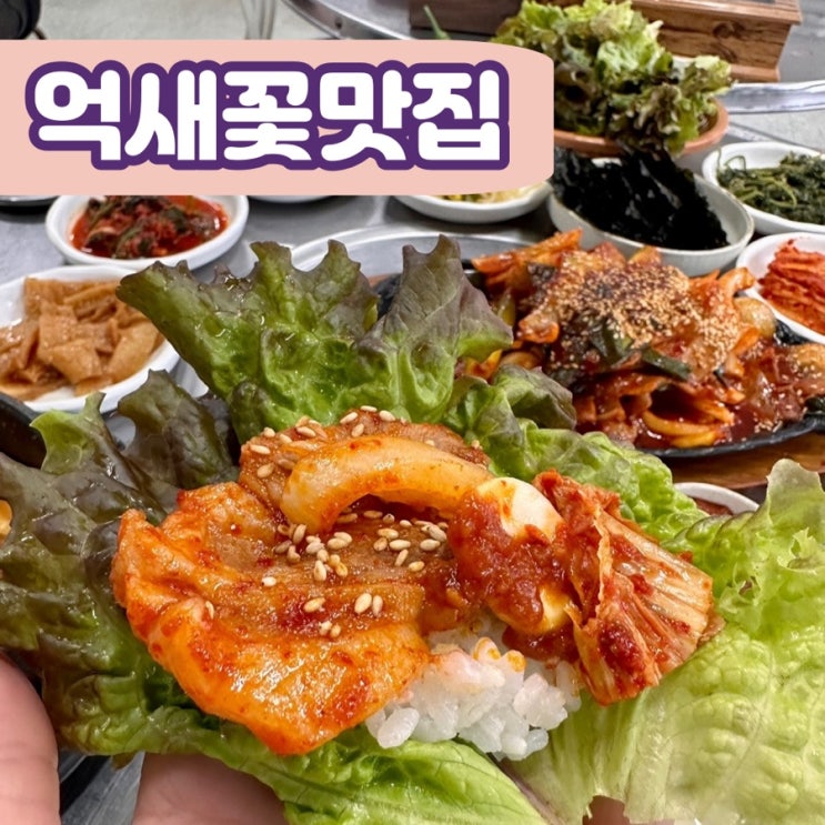  강원도여행 민둥산역 근처 하산푸드 정선맛집 곤드레나물밥 제육볶음 억새꽃맛집 왜안가 완전추천