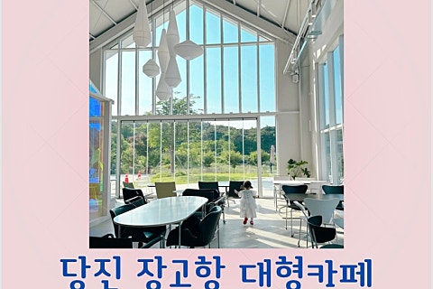장고목 이미지