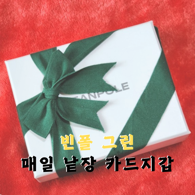  BE31A3M17M 빈폴 카드지갑 선물하기 좋은 빈폴지갑 교통카드 티머니 인식 잘됨
