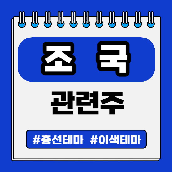  정치 총선 선거 테마주 - 조국 관련주(화천기계,삼보산업,신성이엔지,한성기업,대영포장,서연,이지바이오,하이록코리아,국영지앤엠)주식 주가 분석 및 미래 투자 전망