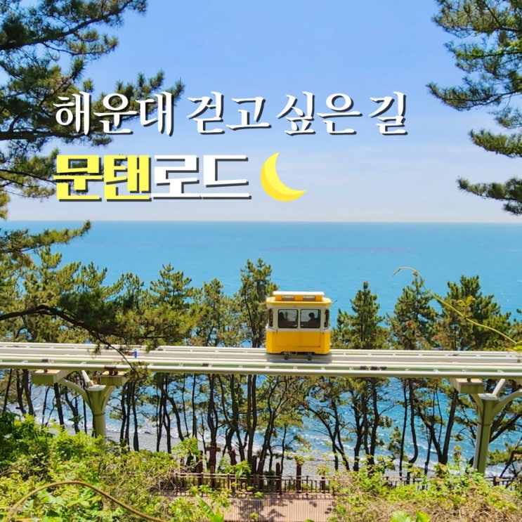  해운대 블루라인파크 미포정거장 스카이캡슐, 청사포가 잘 보이는 문탠로드 갈만한곳