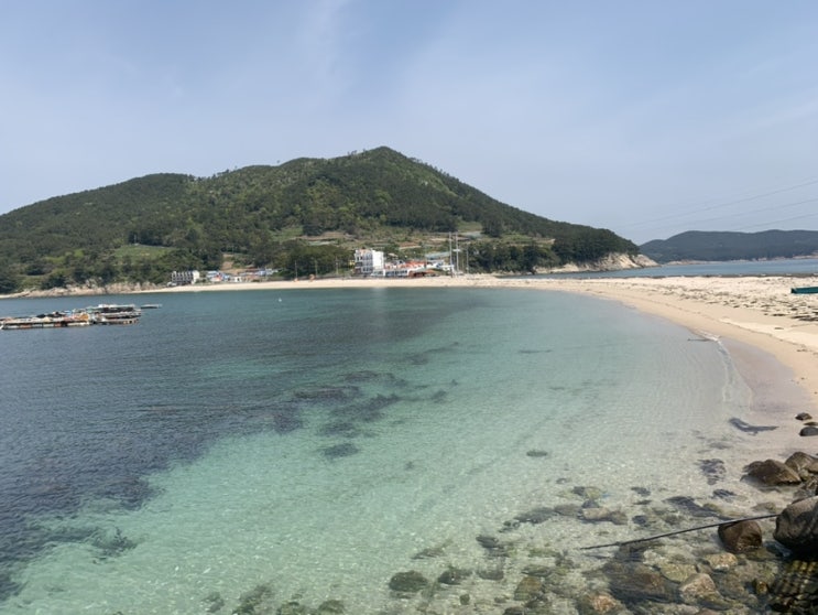  통영 비진도 당일치기 여행