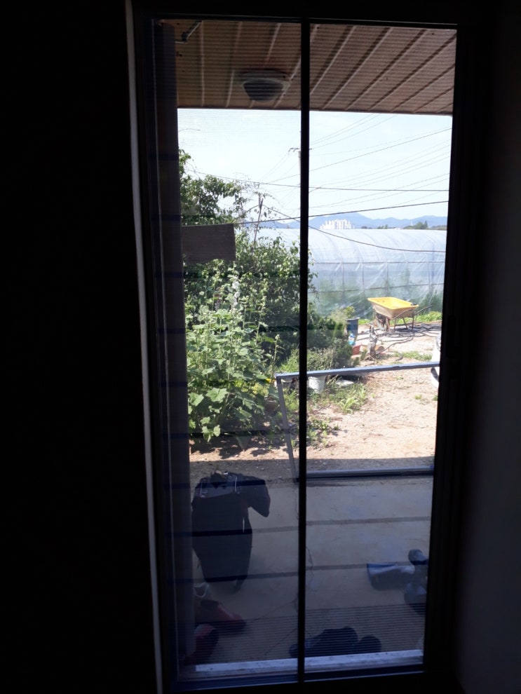  왕궁방충망 익산시 왕궁면 구동길 현관 자동롤방충망 설치