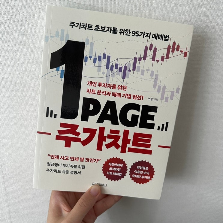 재테크책, 주식투자책 리뷰 ] 1page 주가차트