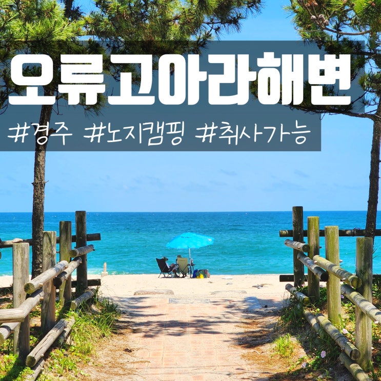  부산근교 경북 경주 노지캠핑 오류고아라해변 해수욕장 취사가능