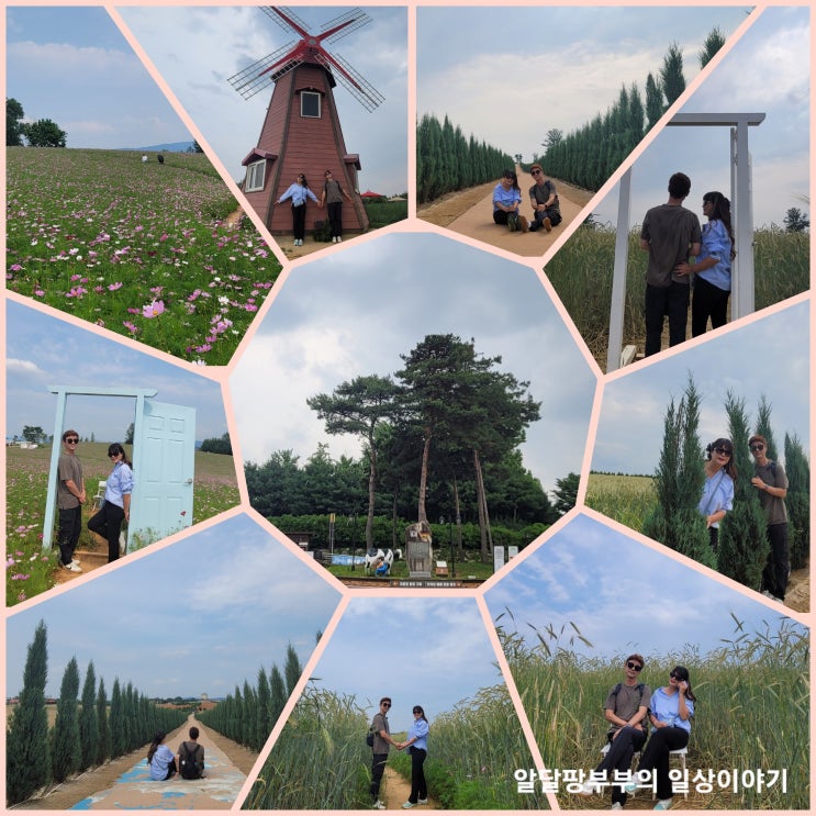 경기도 안성 가볼만한곳 안성팜랜드 아이들 볼거리와 청보리, 호밀밭, 코스모스등 인생샷명소 많은곳 경기도 안성 가볼만한곳 안성팜랜드 아이들 볼거리와 청보리, 호밀밭, 코스모스등 인생샷명소 많은곳