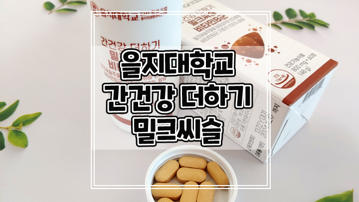  간 건강이 걱정된다면 을지대학교 간건강 더하기 밀크씨슬 비타민B군으로 간의 피로 관리해요