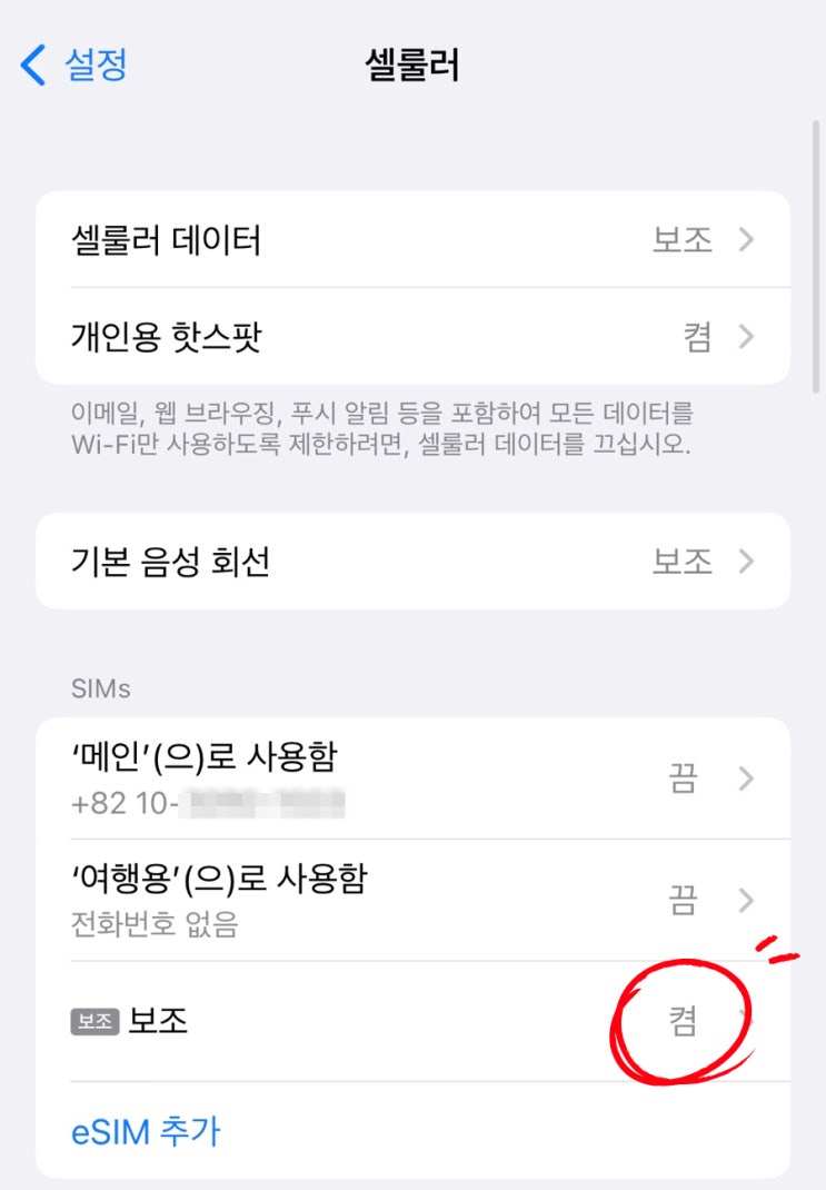 해외여행 유심 급할 땐 e심으로! (사용 방법, 장단점)