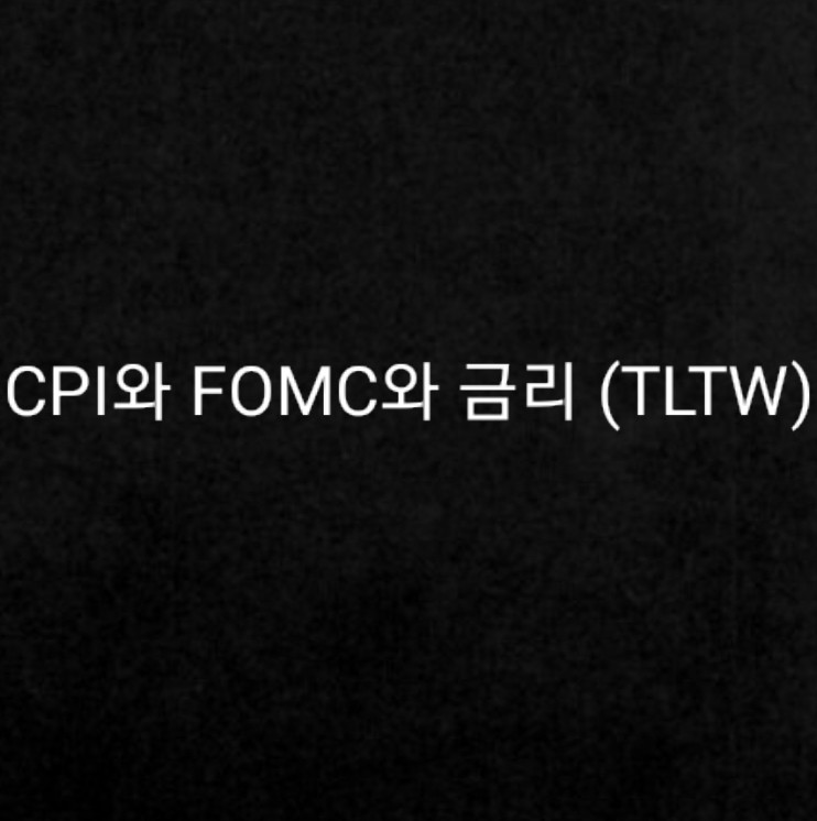  CPI, FOMC 를 앞 둔 지금 불현듯 떠오르는 생각. 금리는 오를까? (feat. tltw,장기채)
