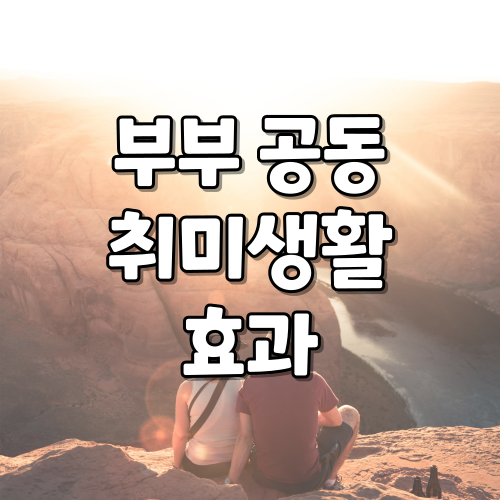  취미생활을 함께 하는 부부는 결혼만족도가 높다?