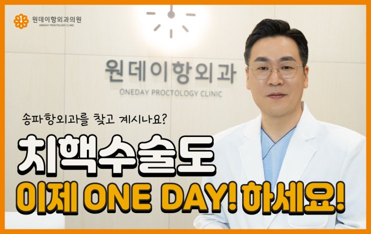  [송파항외과] 치핵수술도 이제 ONE DAY! 하세요!