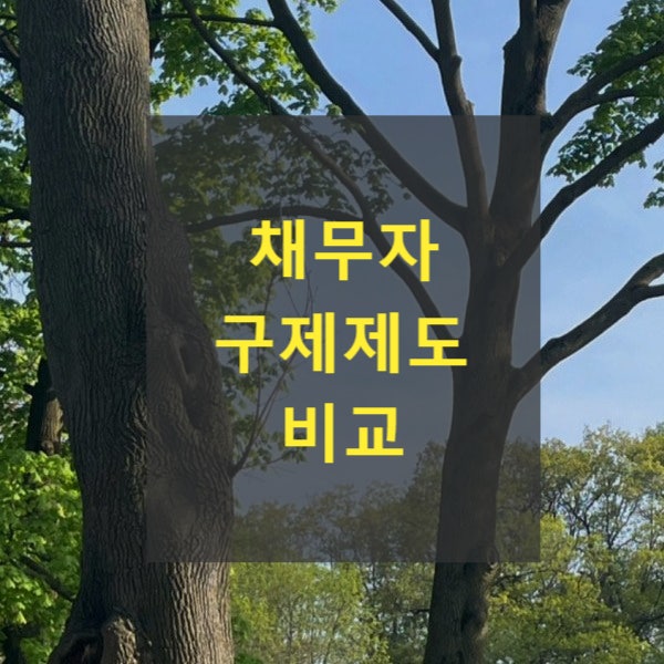  채무자 구제제도 비교(프리워크아웃(사전채무조정), 개인워크아웃, 개인회생, 개인파산)