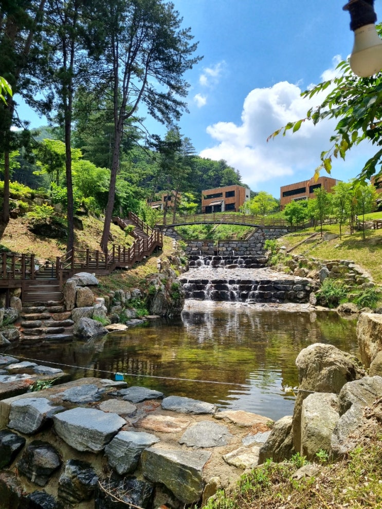  동두천 자연휴양림 산림휴양관 208호,  아이랑 함께 1박2일 힐링 여행 다녀왔어요 (+ 바베큐 후기)