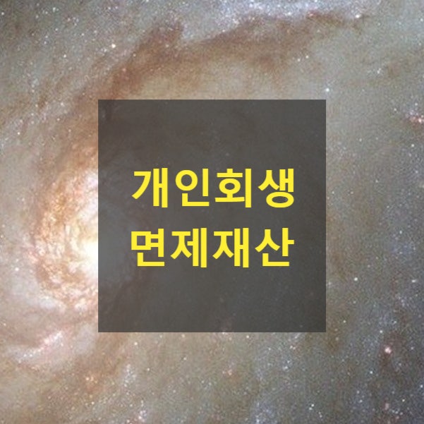  개인회생 면제재산(임대차보증금 최우선변제금액(소액임차보증금), 최저생계비 6개월분)