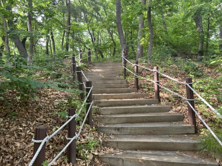 용인 석성산 등산했어요! 석성산 등산로, 정상 전망 등 산행 이모저모