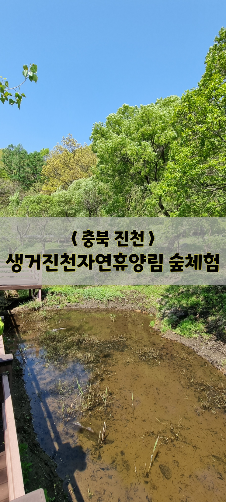 충북 진천/체험/생거진천자연휴양림 숲체험(주차 및 예약tip)