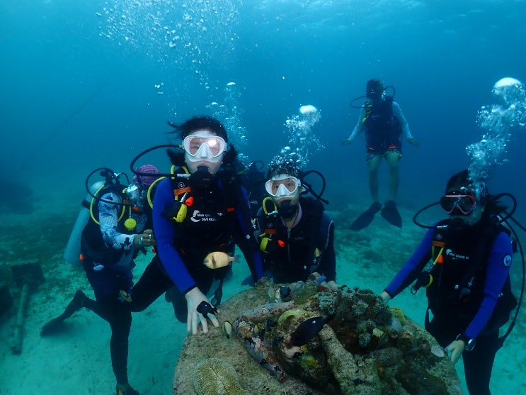 필리핀 여행 세부 체험 다이빙 가격 퍼플오션 후기 스쿠버 자격증