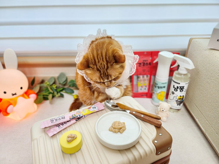  고양이 간식 츄르 매일 먹어도 안전한 강집사 저염식 건강스틱