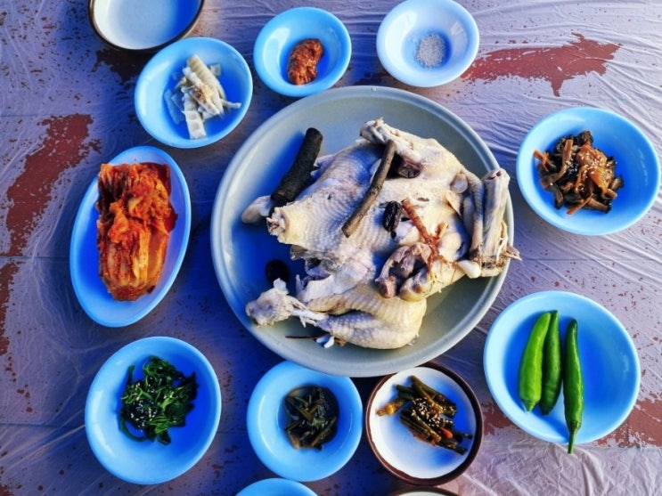  담양 닭백숙 맛집 용흥사 계곡 숲속의 향기 수영장 무료이용?