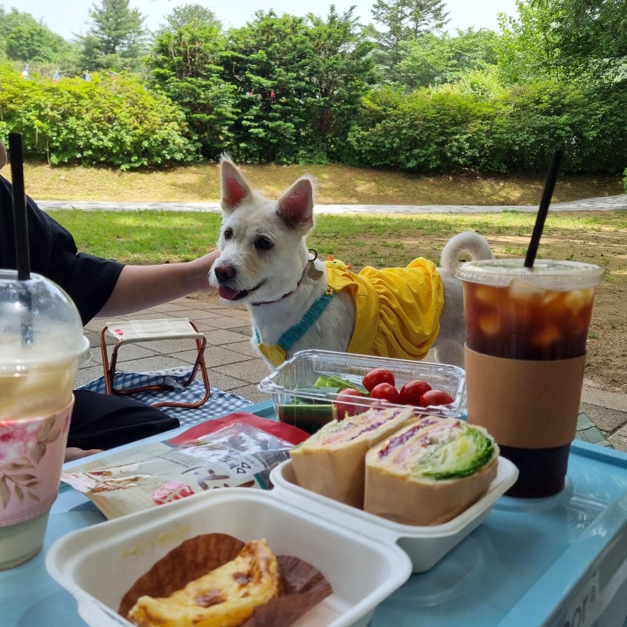 래복마라탕적성점 사진 3