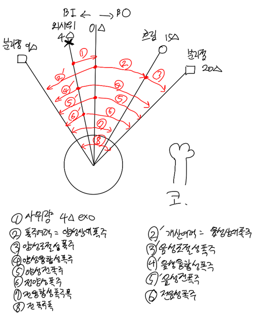  융합력의 종류들(개산, 폭주, 여력 등등)