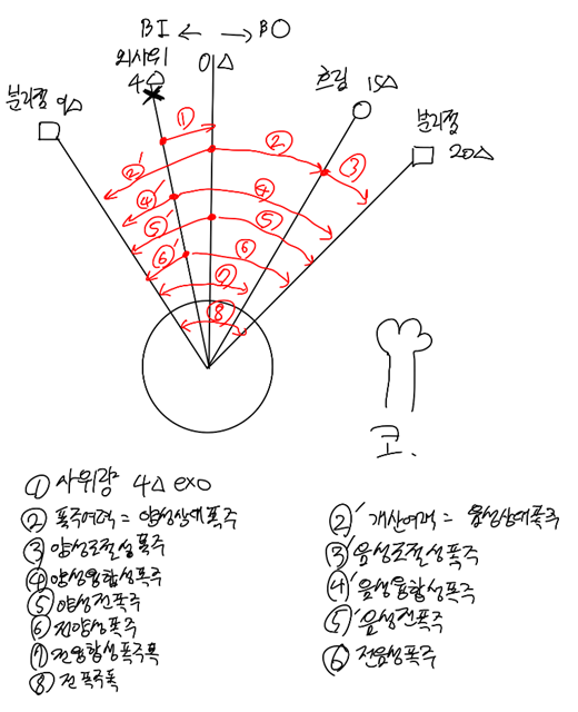 융합력의 종류들(개산, 폭주, 여력 등등)