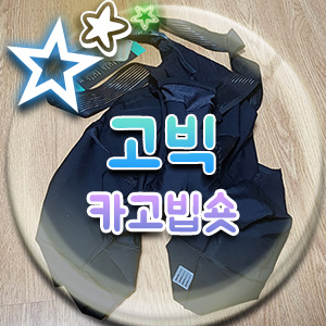  자전거의류 브랜드 고빅 GOBIK 자전거 바지 옷 카고 빕숏