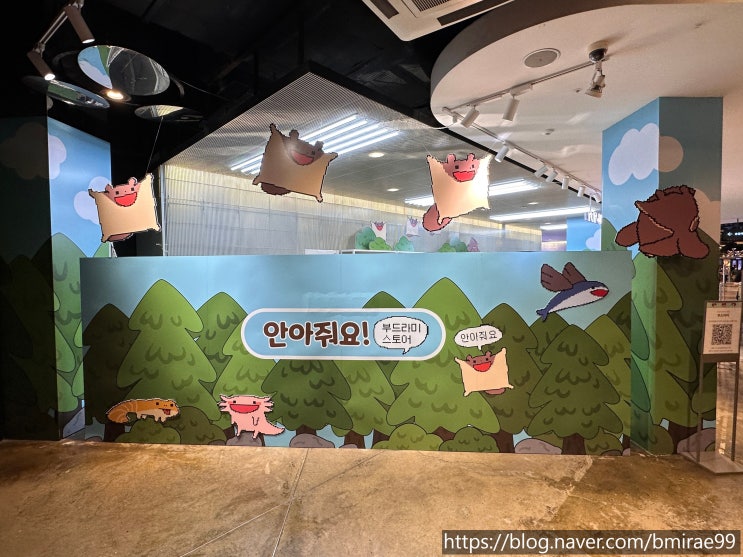  [방문기] 부드라미 팝업스토어 방문기(매장전경, 가격 등)
