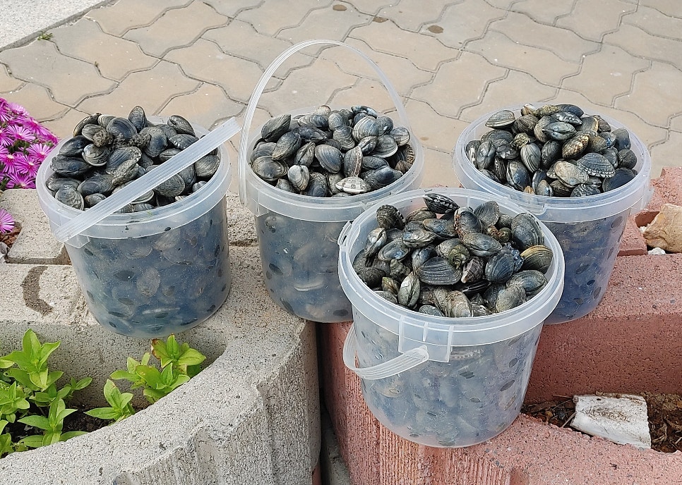 서해원 사진 2