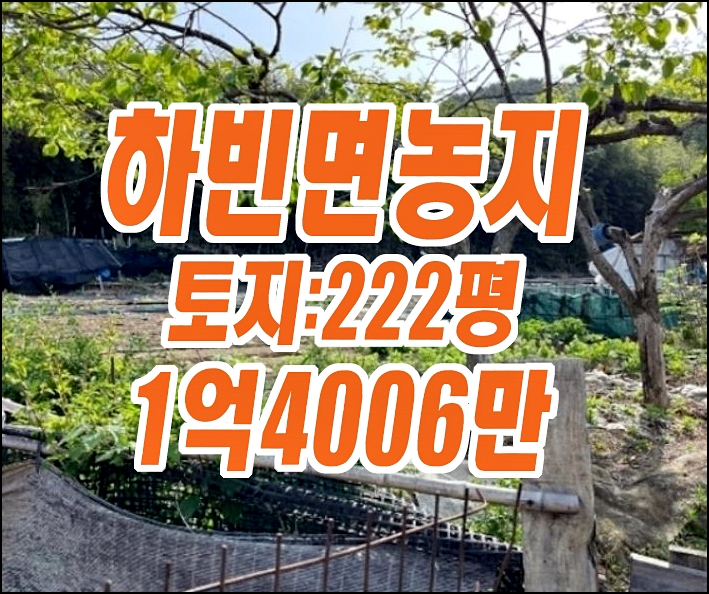 달성군 하빈면 현내리 농지 대구농지경매 달성군 하빈면 현내리 농지 대구농지경매