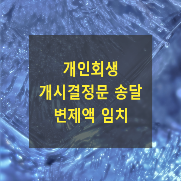 개인회생 개시결정문 송달 및 변제액 임치