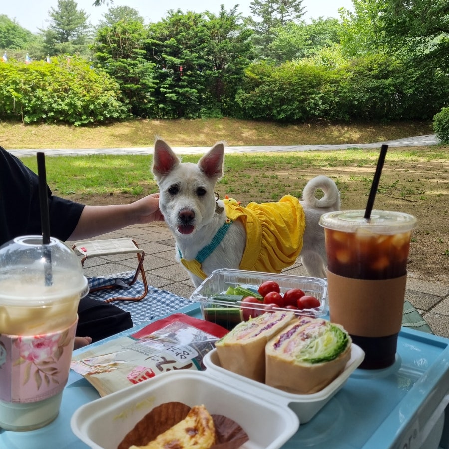 래복마라탕적성점 사진 4