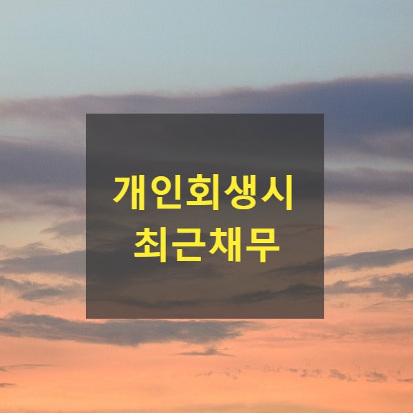  개인회생시 최근채무(최근대출)에 대하여