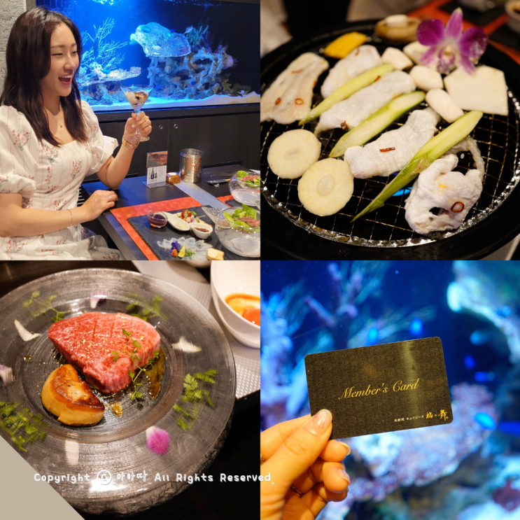  우메다 공중정원 맛집 멤버십 복어요리 오마카세 후쿠노마이