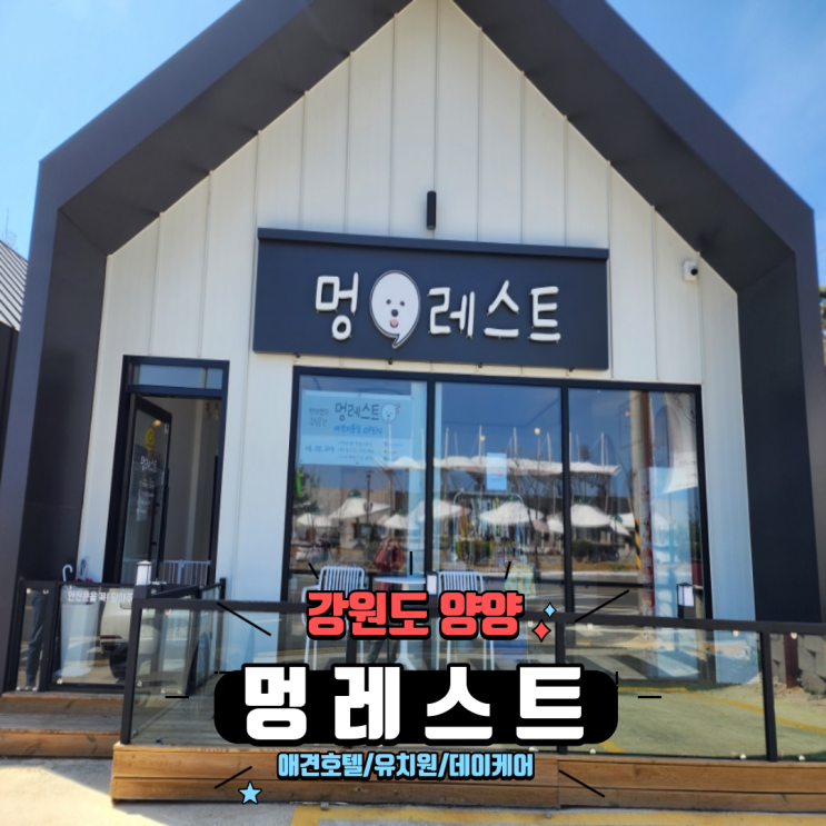  강원도 양양 여행 가서 강아지 맡길곳 애견호텔 유치원 놀이방 데이케어 믿고 맡길 수 있는 멍레스트 내돈내산