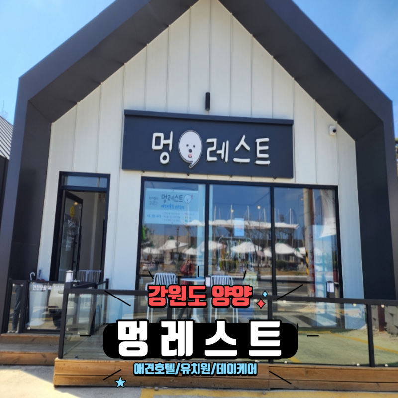 사진 3