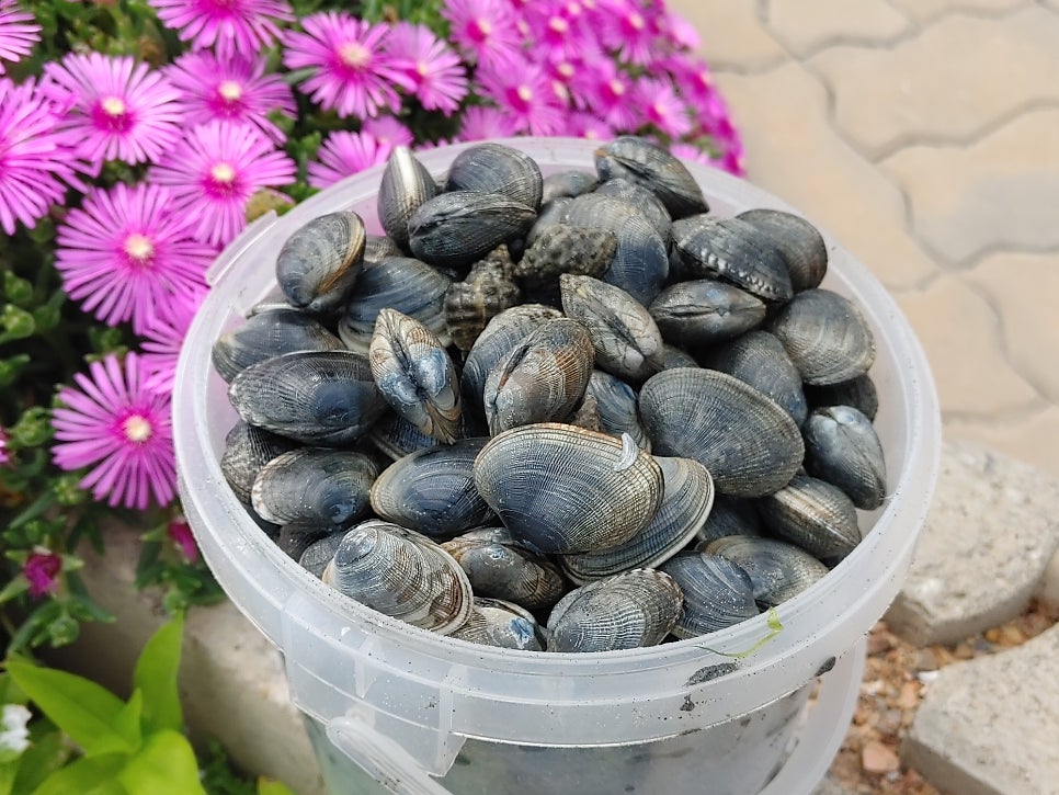 서해원 사진 3
