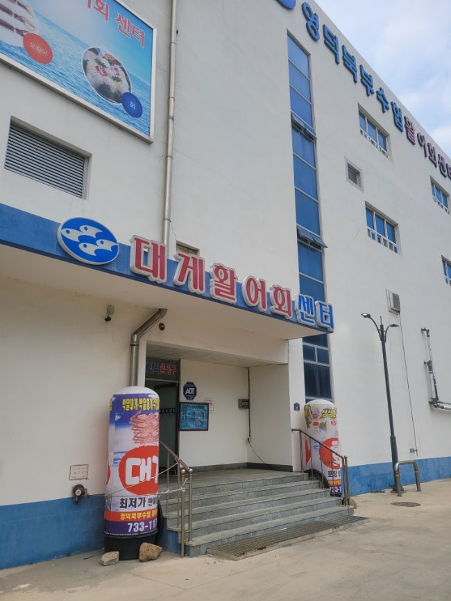  영덕 축산항 푸른바다 수산물 활어회센터 대게 후기