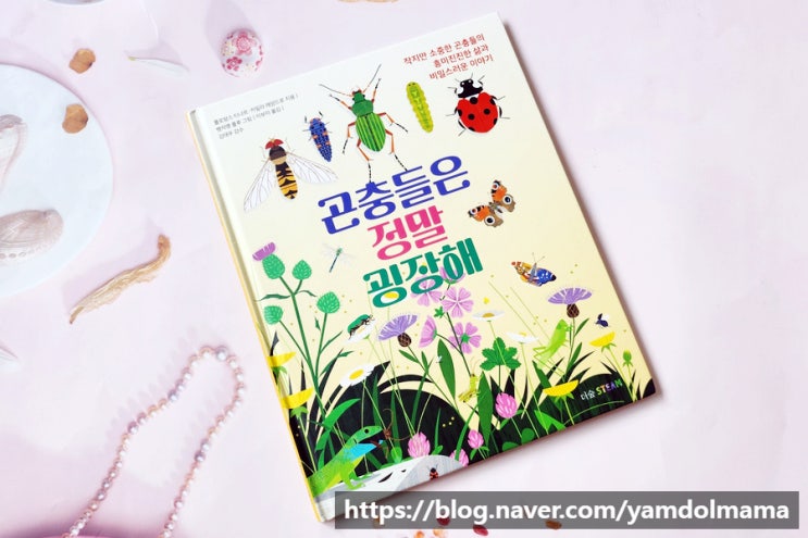  어린이 곤충도감 곤충들은 정말 굉장해