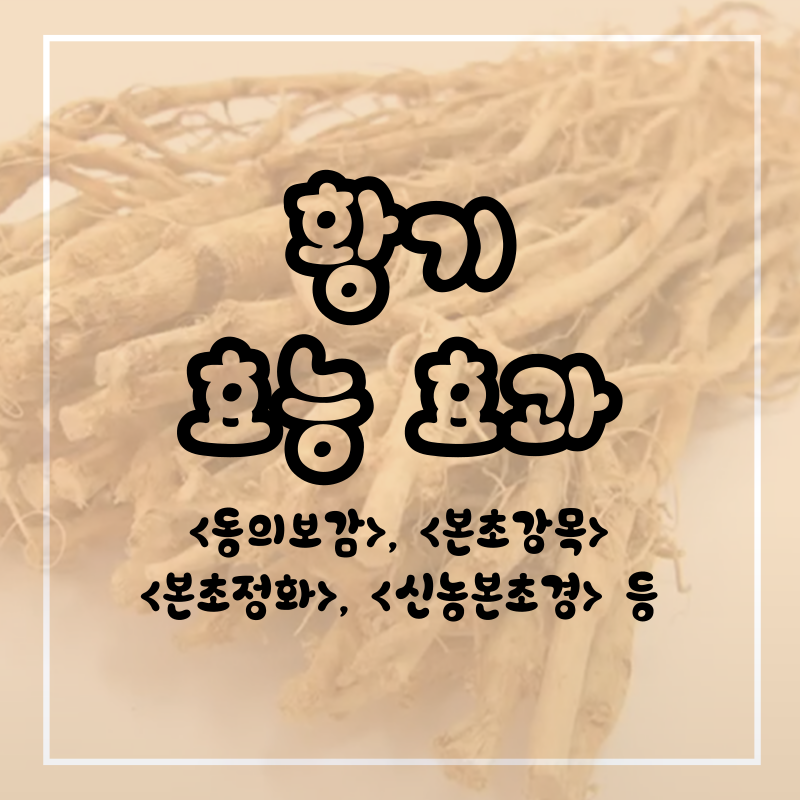 한의학(동의보감 등)으로 보는 황기의 효능·효과 그리고 주의사항