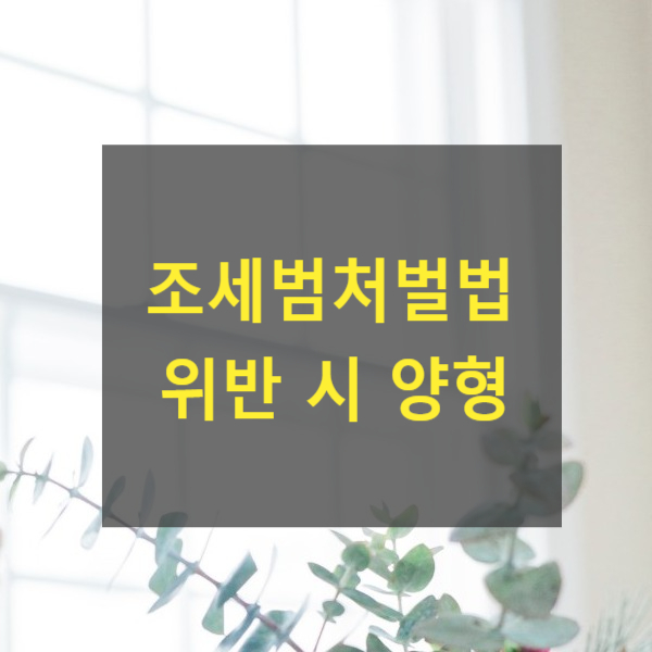  조세범처벌법 위반 시 양형(허위계산서 발급, 수취)